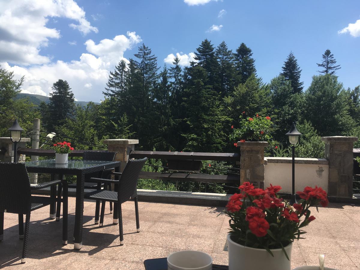 Vila Terase Hotel Sinaia Exterior foto