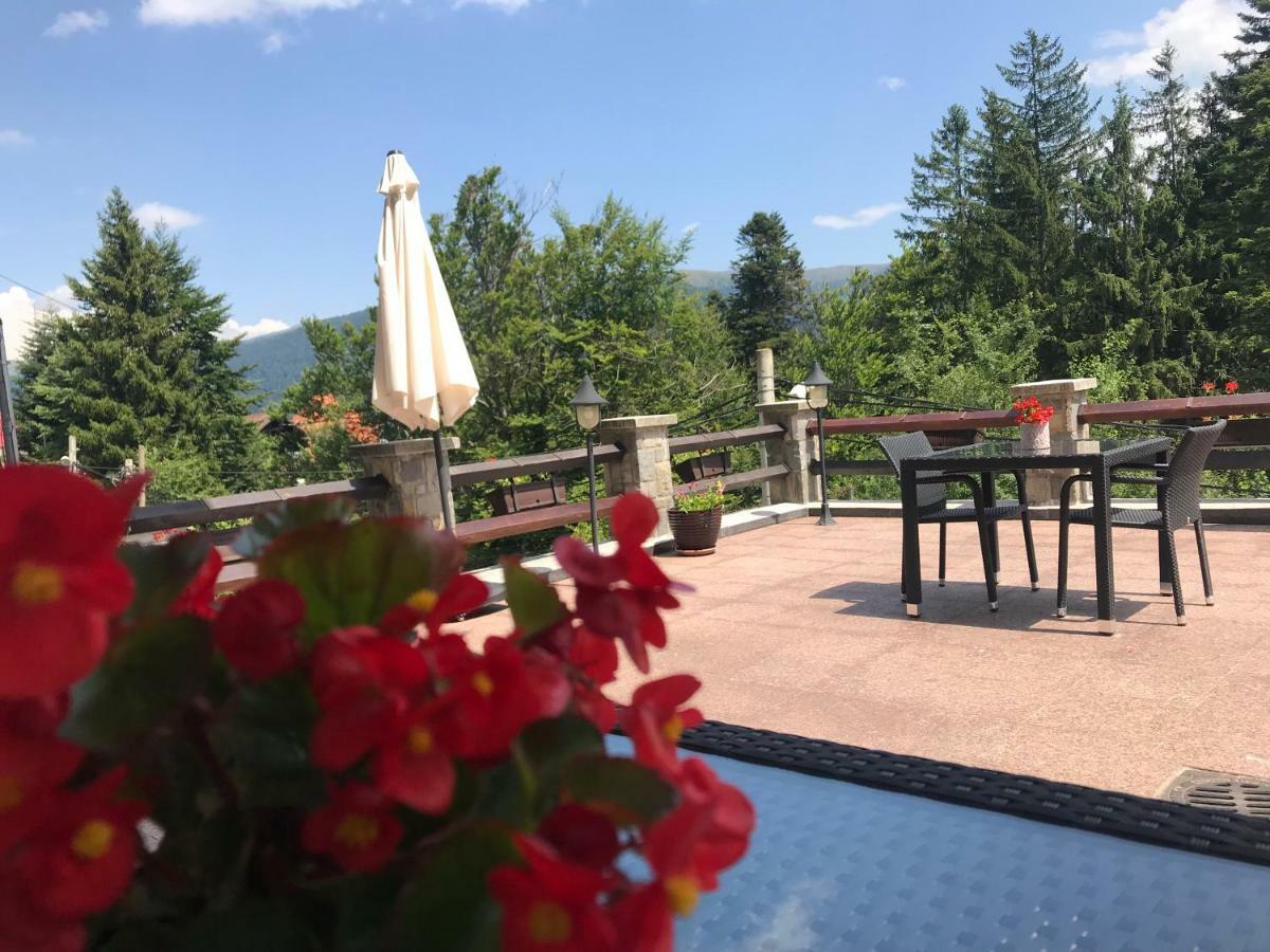 Vila Terase Hotel Sinaia Exterior foto